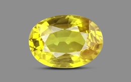 Yellow Sapphire - BYS 6663 (Origin - Thailand) Limited - Quality
